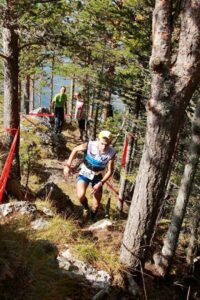 Istvan Gyrorgy Szabolcs 2014 Valetudo