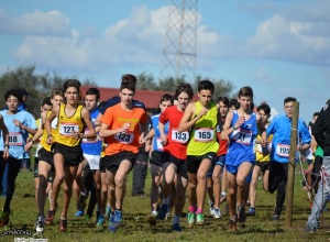 Trofeo-Vini-Ganci-cross-Latina-2015-photo-credit-organizzazione