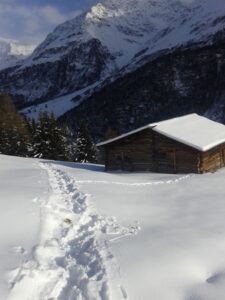 santa caterina valfurva winter trail 2015 (1)