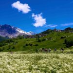 ciclismo_Granfondo_Stelvio_Santini_verde