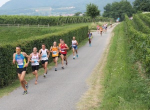 Maratona_a_tappe_Franciacorta_2014_01_photo_Rosa_Associati