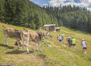 Stralivigno_2015_Livigno_01_photo_credit_Giacomo_Meneghello