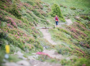 suedtirol_ultra_skyrace_2014_phcredit_wisthaler