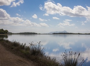 Latina Mare-Lago delle Terre Pontine Bordo lago