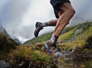run_ph._maurizio_torri