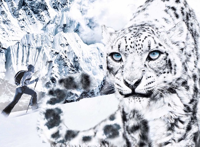 Dynafit_Snow_Leopard_Day_2016_Ravascletto-Zoncolan_photo_credit_Dynafit