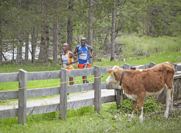 cortina_dobbiaco_run_2016_crediti_areaphoto-3