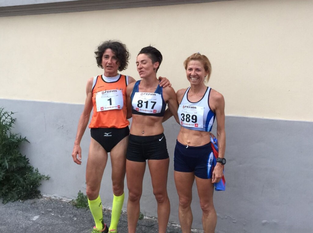 fosso bergamasco 2016 treviglio gelmi quadri opi