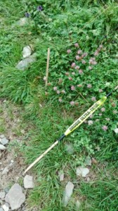 orobie_ultra_trail_2016_balise_atti_vandalici
