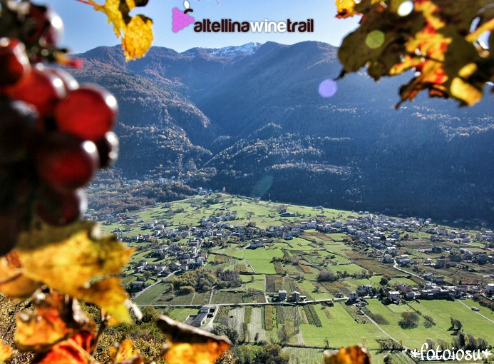 valtellina_wine_trail_02_ph_iosu_iuaristi