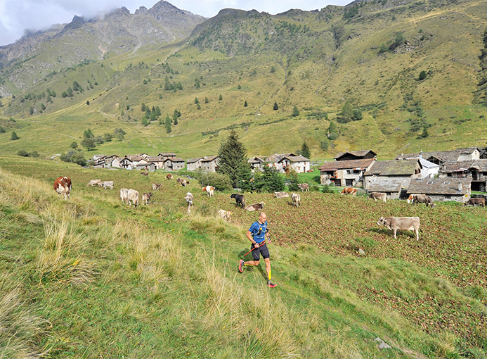 Adamello Ultra Trail