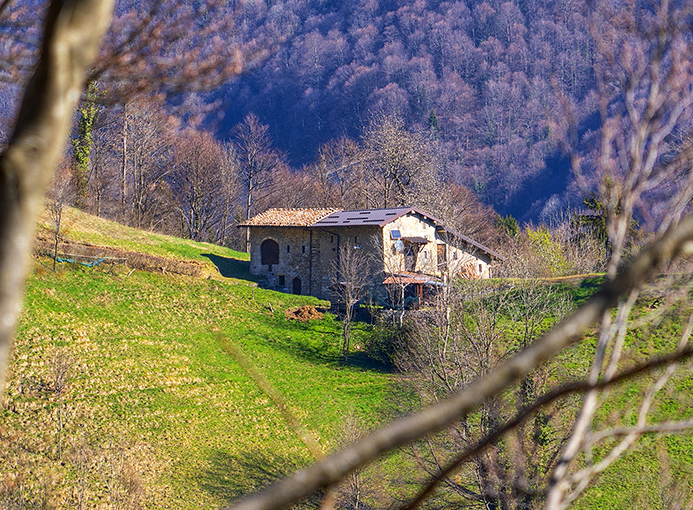 Val del Riso Trail