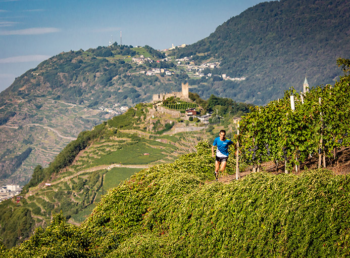 Valtellina Wine Trail