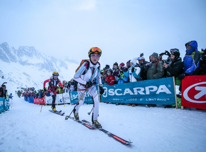adamello ski raid 2017 fiechter mollaret skialp