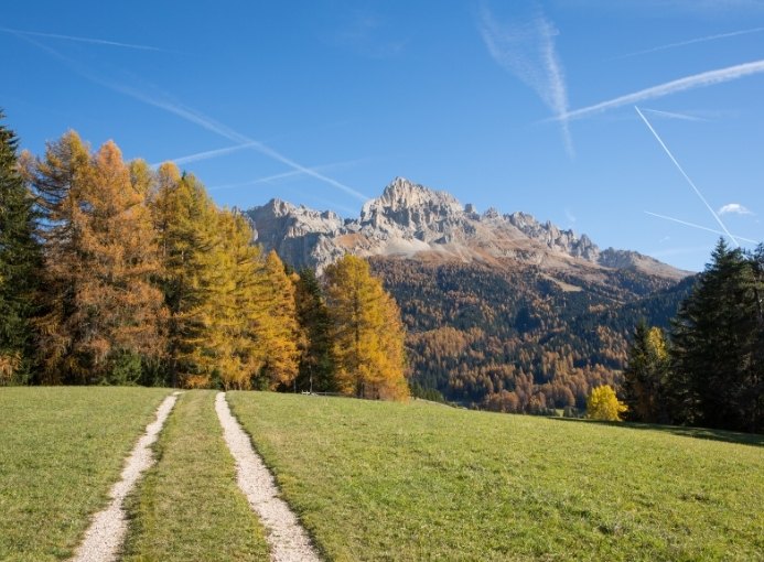 Val d Ega foliage Latemar autunno