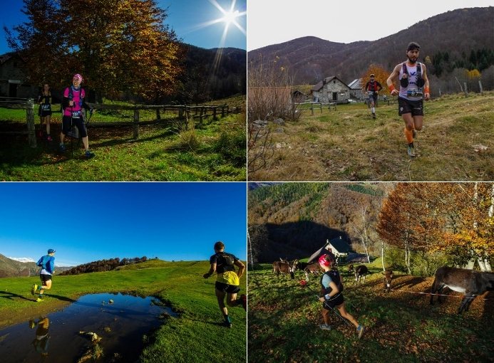 trail monte casto