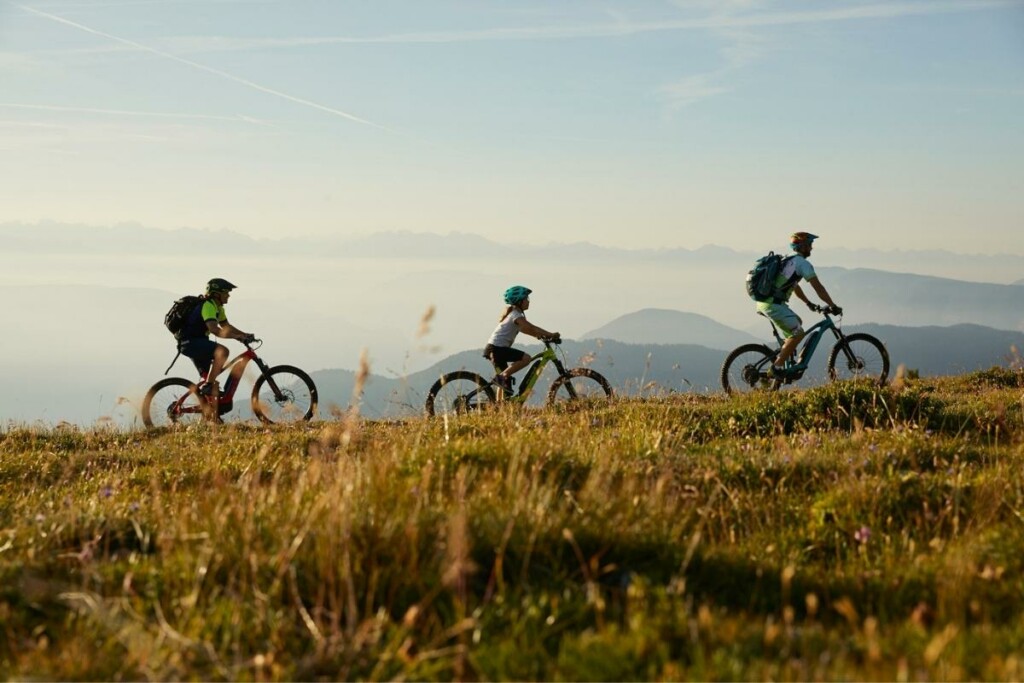 Almrausch Edelbike cicloturismo