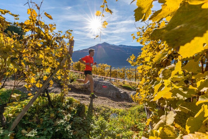 Valtellina Wine Trail