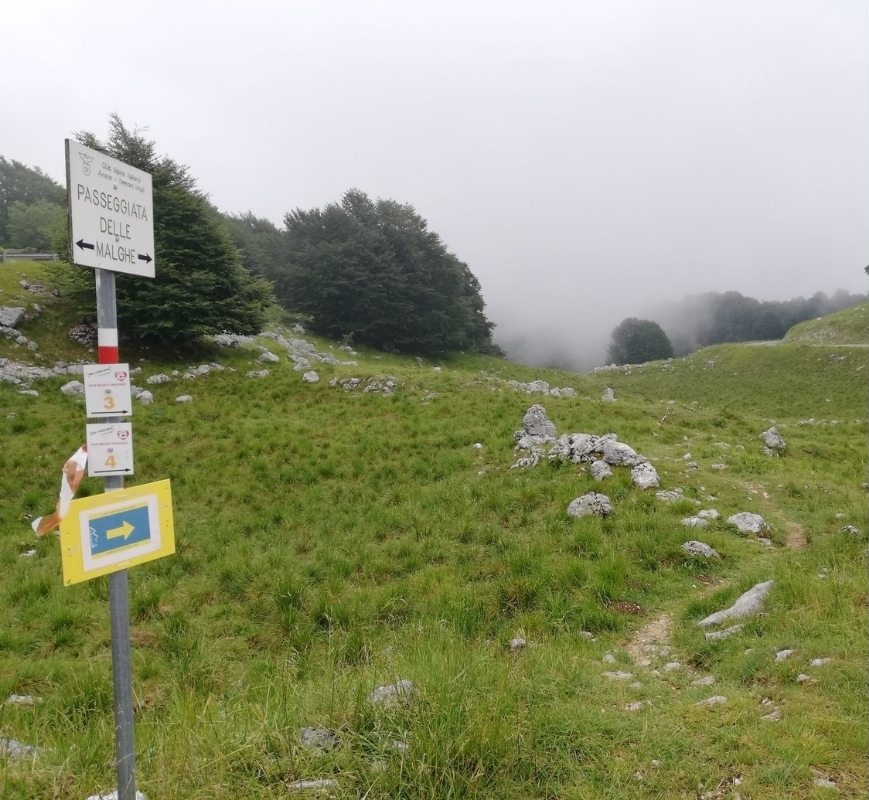 Aviano Piancavallo sul percorso di gara e della passeggiata delle malghe