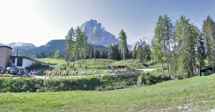 Dolomites Saslong Half Marathon