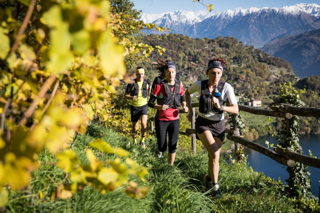 Valle dei Segni Wine Trail