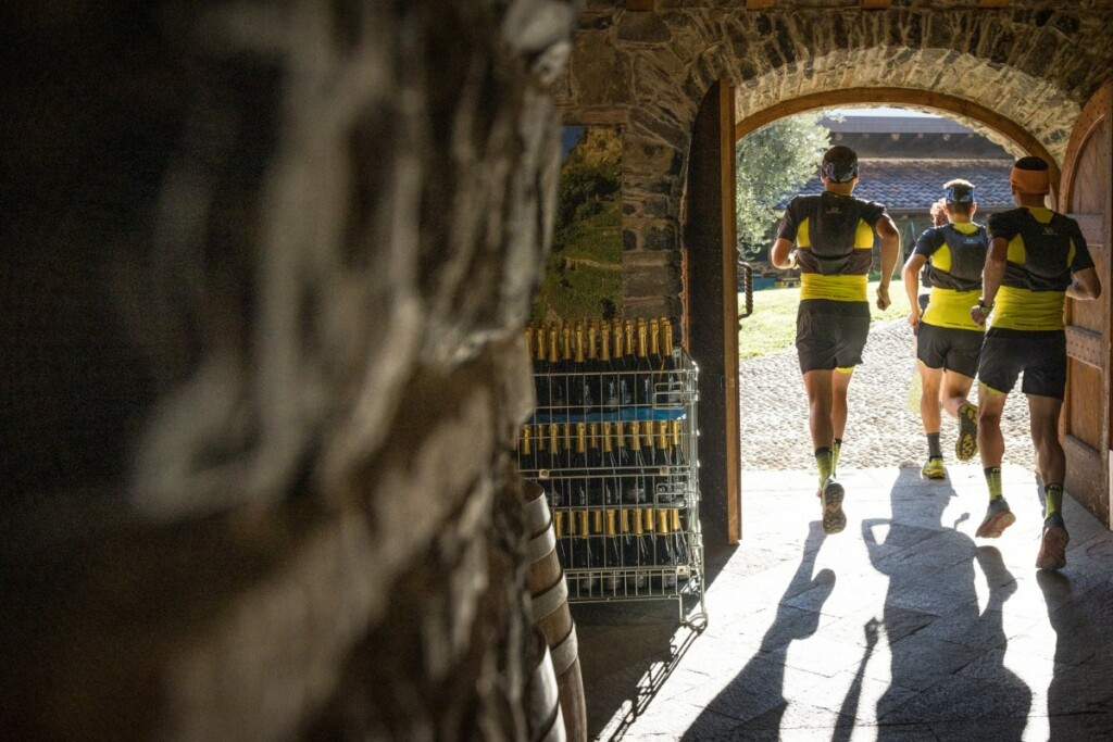 Valle dei Segni Wine Trail