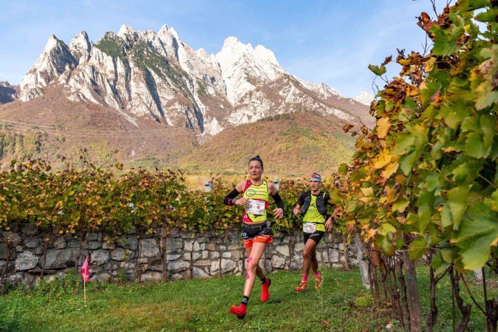 Valle dei Segni Wine Trail 2022 Elisa Pallini