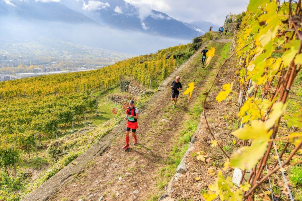 Valtellina Wine Trail