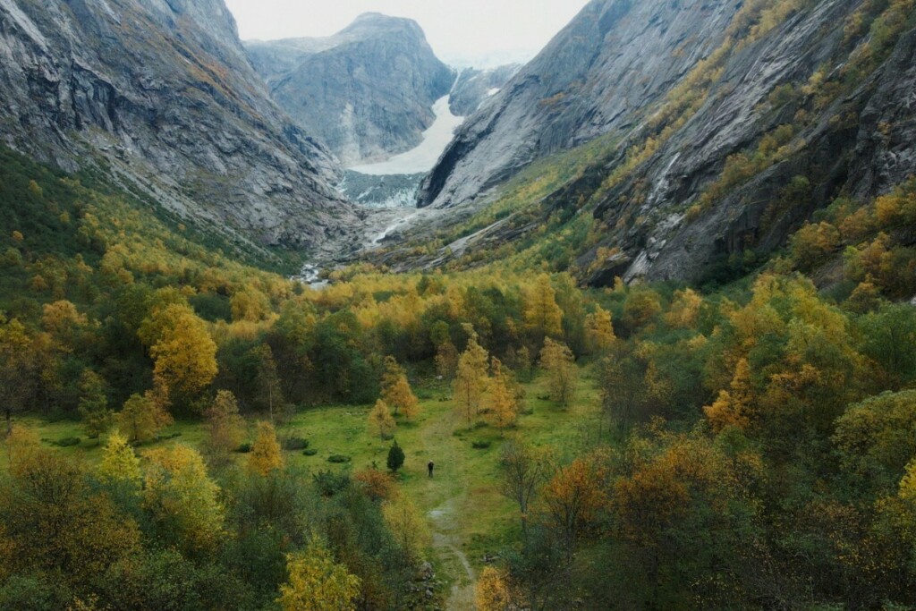 La canzone della terra Film