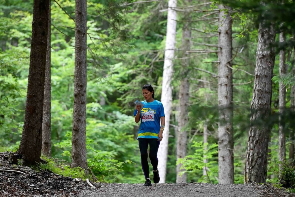 Orienteering Paganella 2024 stage 1 Andalo