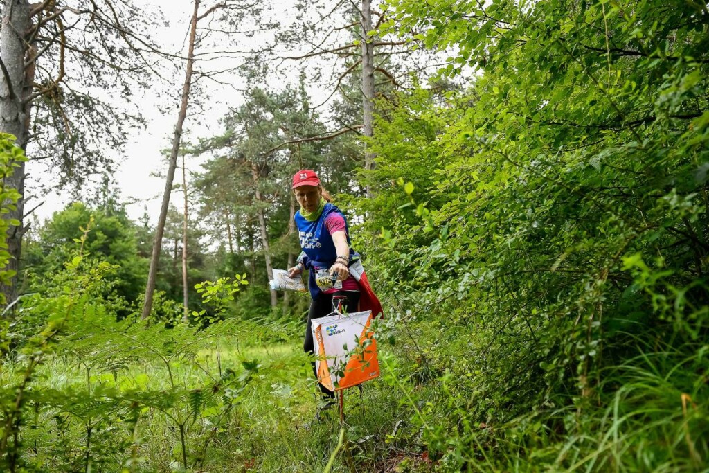 Orienteering Paganella 2024 Cavedago