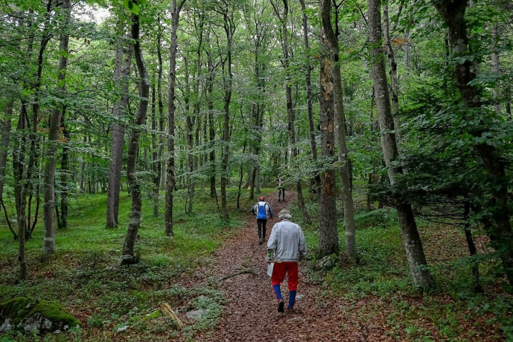 Orienteering Paganella 2024 Cavedago