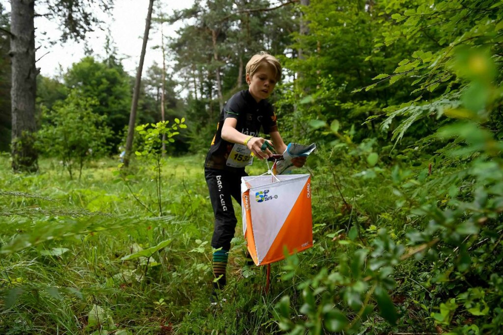 Orienteering Paganella 2024 Cavedago