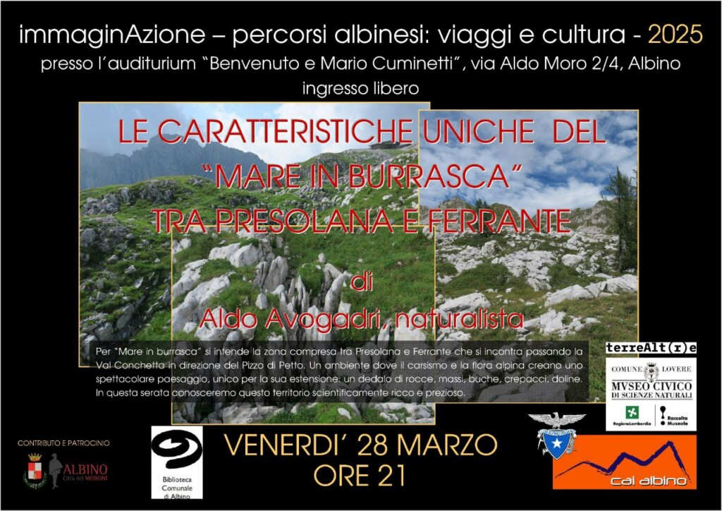 mare in burrasca serata cai albino volantino
