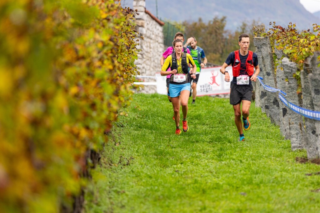 Corridori durante la Valle dei Segni Wine Trail 2024 attraversano un vigneto autunnale nella Valle Camonica.