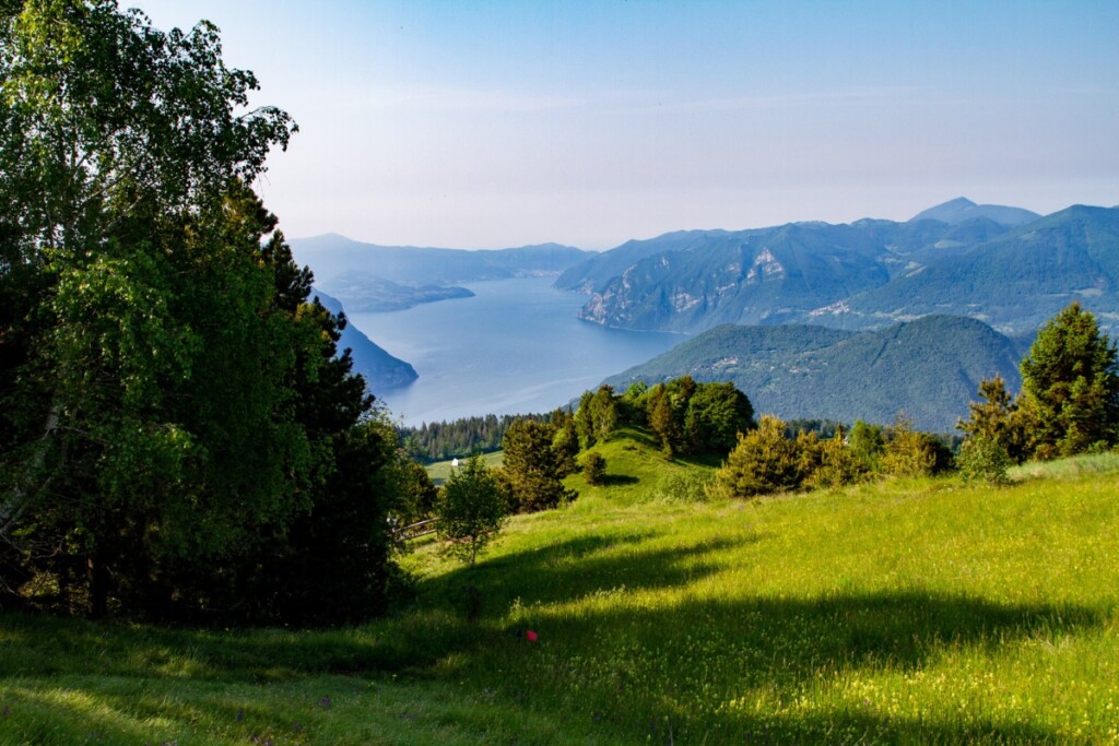 Vista dall'altopiano di Bossico con panorama sul lago d'Iseo, lungo il percorso del Colombina Trail Running 2025.