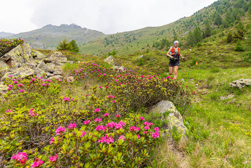 Doppia W Ultra 2025 Giulia Saggin rododendri