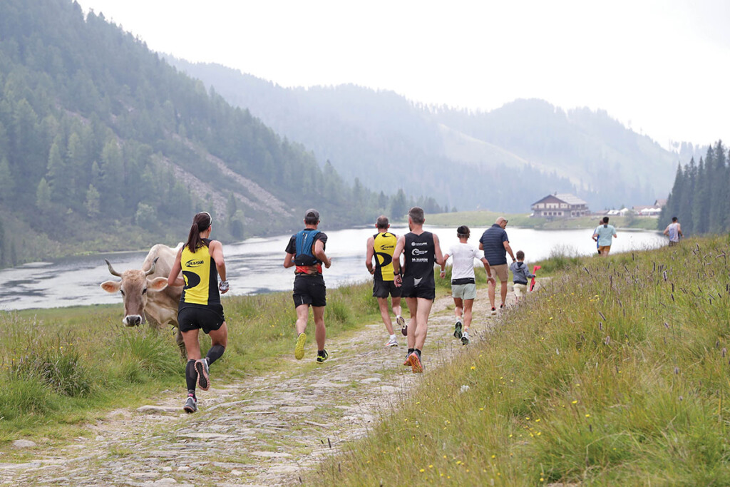 Primiero Dolomiti Marathon
