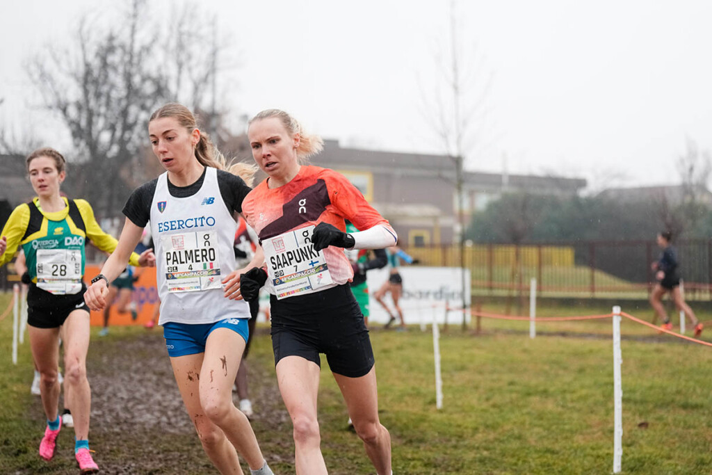 Campaccio Cross Country 2024 | 6.12.2025, San Giorgio su Legnano, Milano (ITA) Saapunki e Palmero