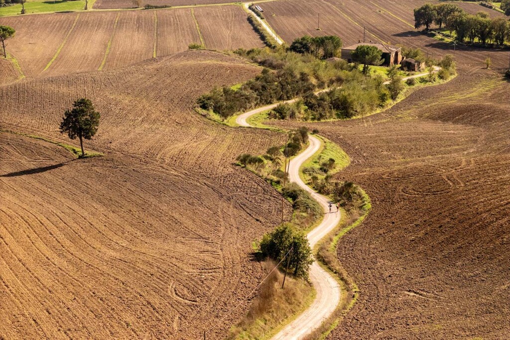 Walking-Francigena-Ultramarathon-Buonconvento