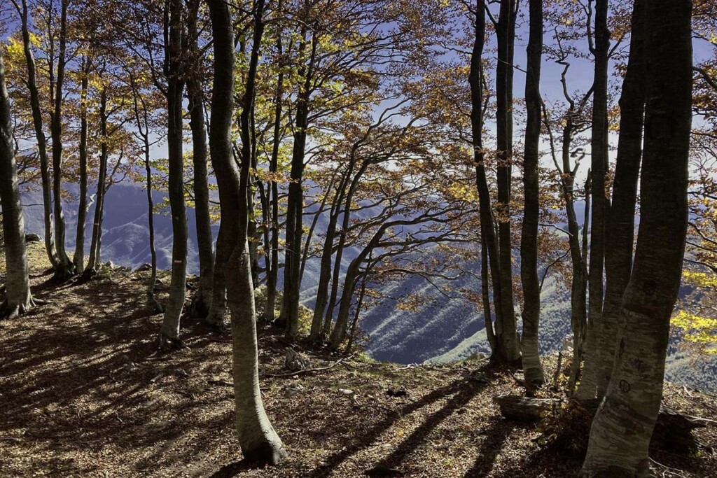 itinerari autunno 01 ph michele passante