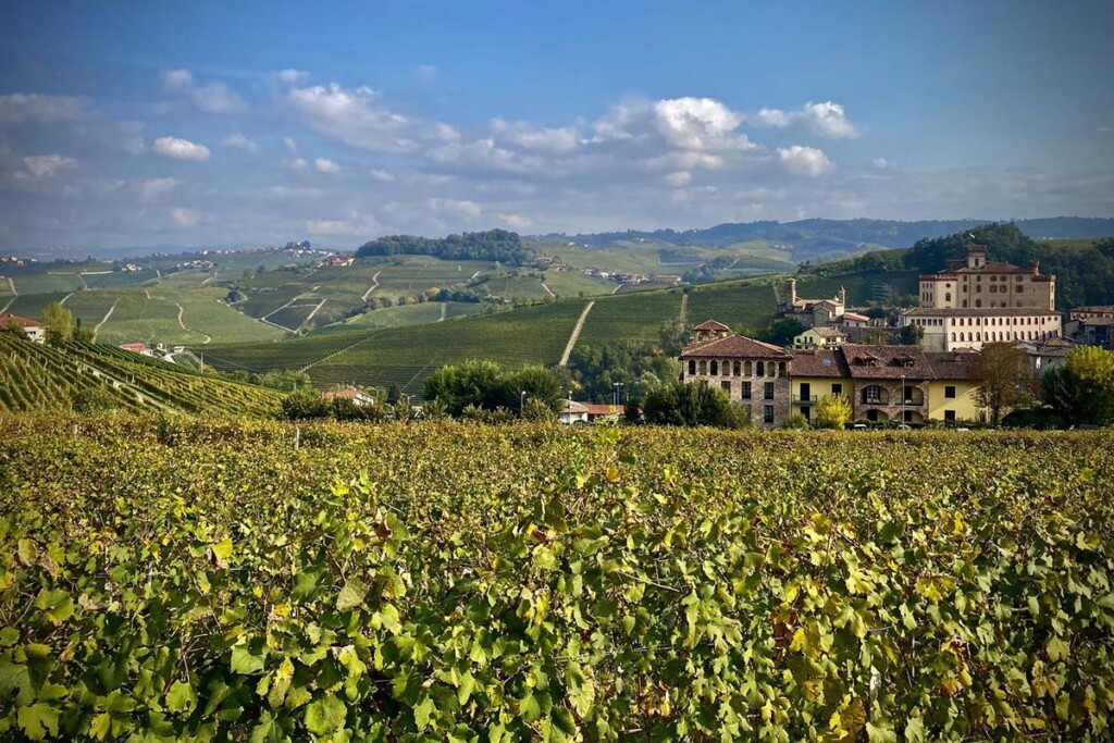 itinerari autunno 02 langhe ph Alessio Mencaroni