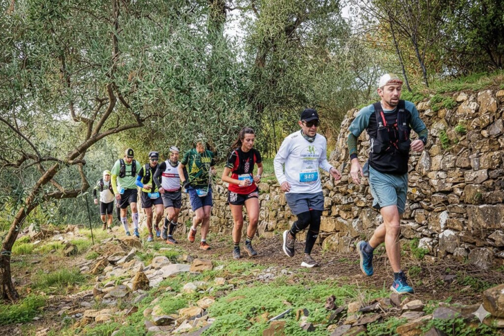 Gruppo di runner nei terrazzamenti a ulivo del Trail del Ciapà 2025 sopra Cervo e Villa Faraldi