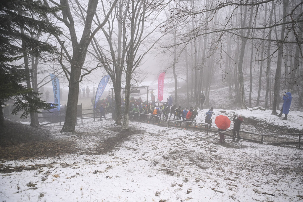 Partenza della SkySnow Schia Monte Caio tra gli alberi e la neve, con gli atleti al via nel bosco dellāAppennino parmense