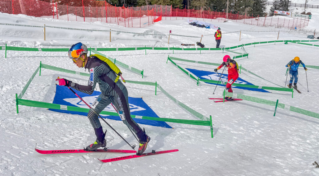 Verbnjak_Paul_Marmotta_Trophy