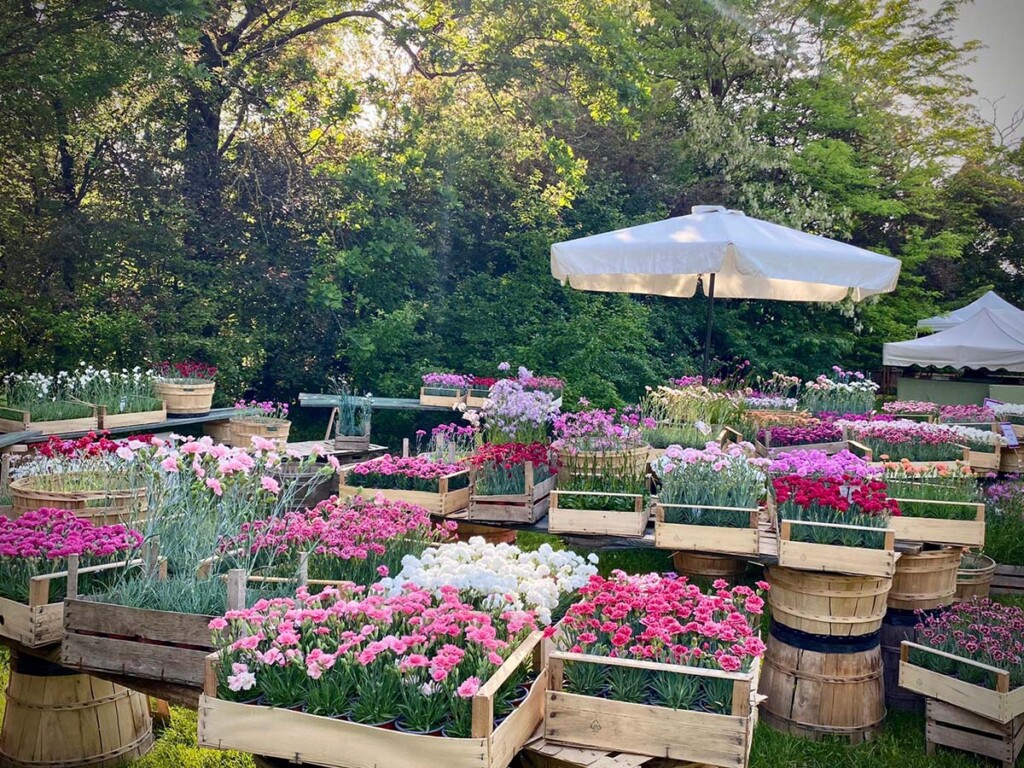 I Frutti del Castello Paderna