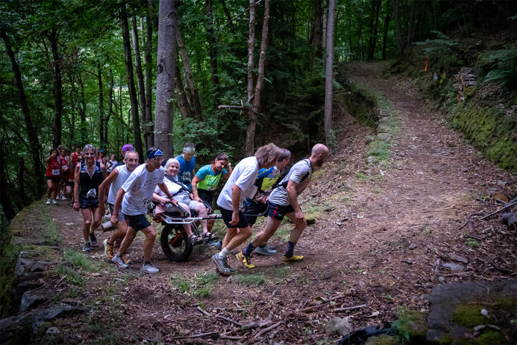 bema vertical goinup joelette