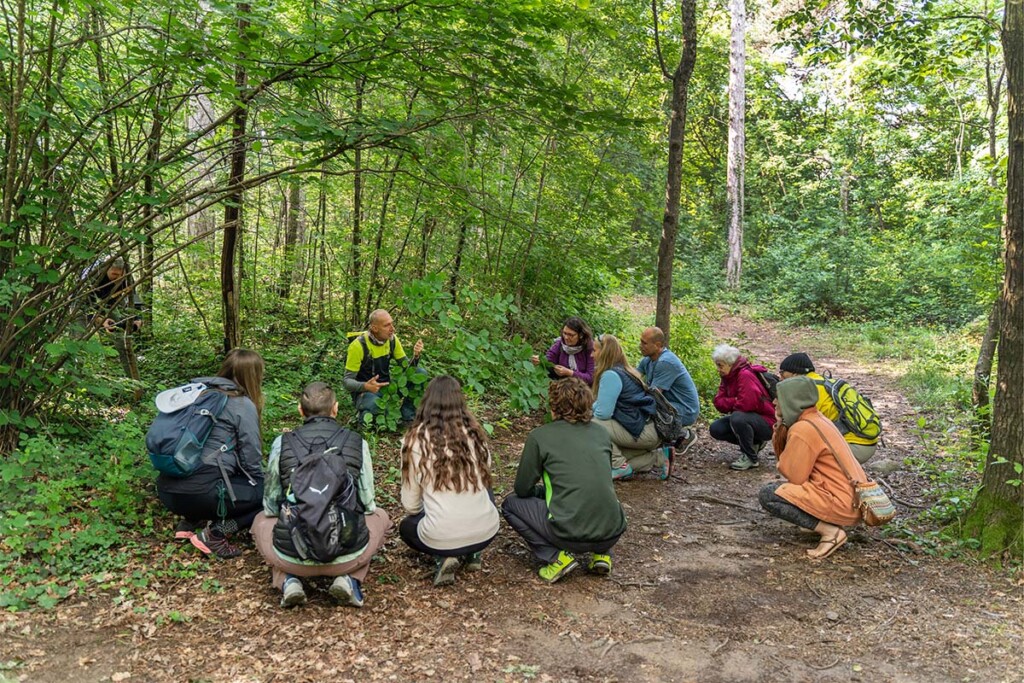trentino experience festival conoscenza piante