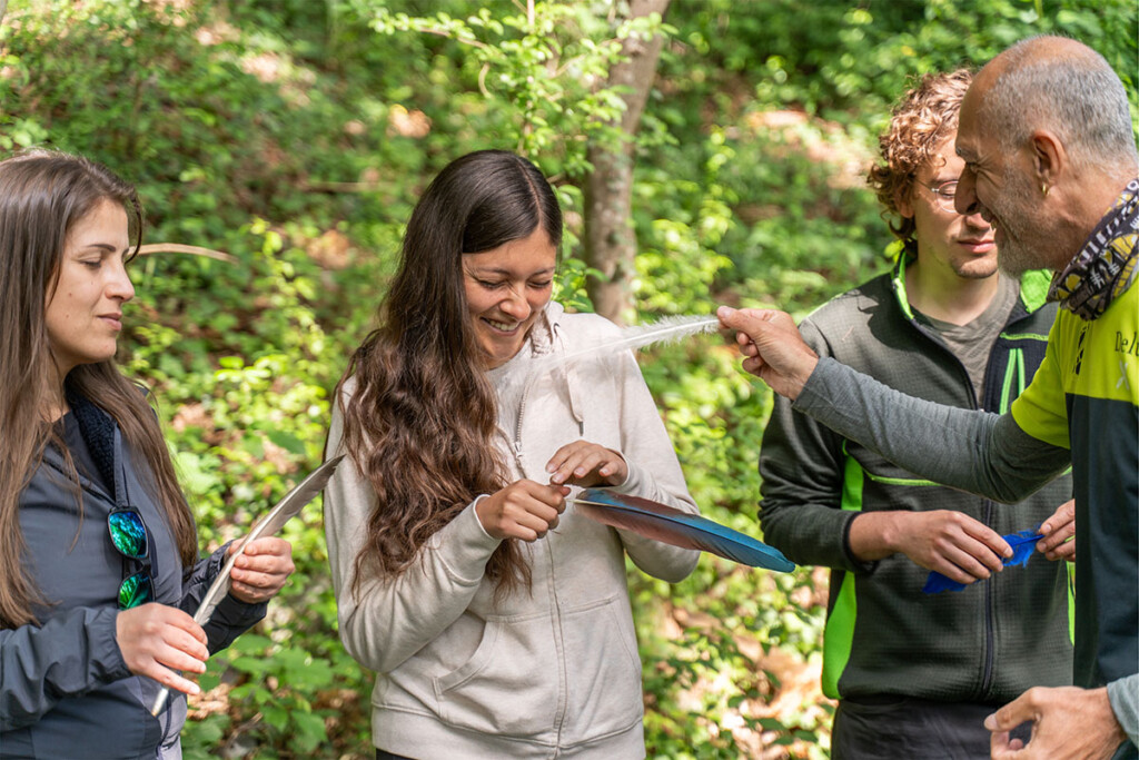 trentino experience festival forest bathing piume