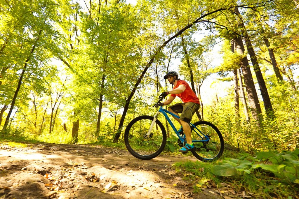mountain bike outdoor canva